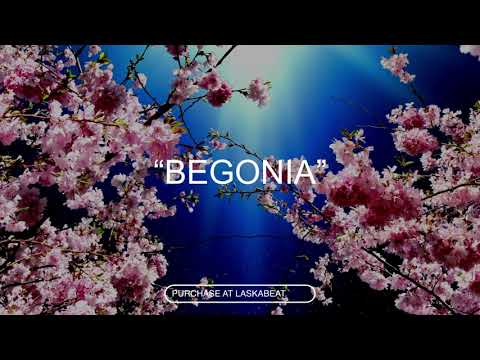 FREE PLK Type Beat   "Bégonia" | Hard Guitar Type Beat