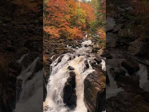 Autumn in Scotland 🏴󠁧󠁢󠁳󠁣󠁴󠁿 #scotland #scottish
