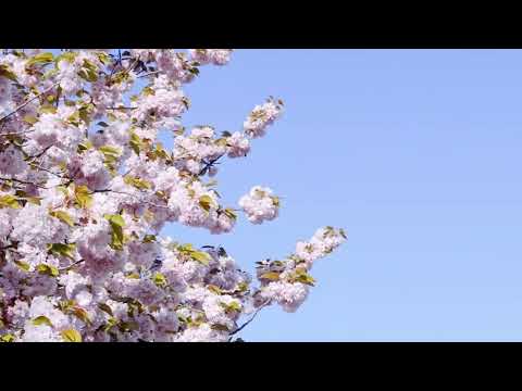 Grupaj cântări creștine 6 februarie  2025 - Mariana Someșan & Ioan But