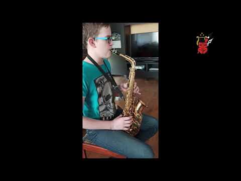 Zajęcia indywidualne gry na instrumentach dętych drewnianych w GOK Wręczyca Wielka