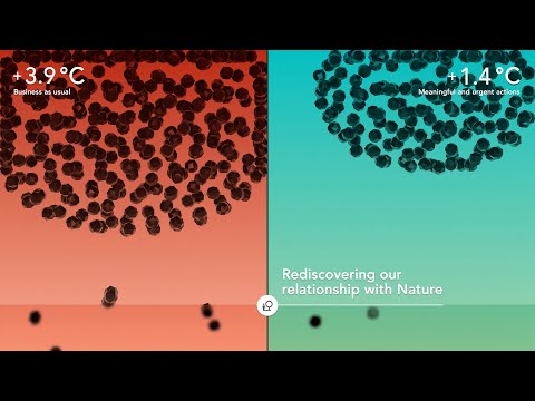 ClimateMusic Project - Audyssey