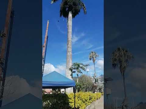 SAN JUAN DE RIOSECO CUNDINAMARCA COLOMBIA