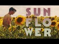 Sunflower Official Trailer Dekkoo Com Stream Great Gay Movies