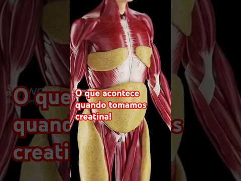 Isso acontece quando se toma creatina!
