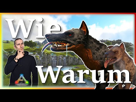ARK Taming Guide | Hyaenodon zähmen & seine Fähigkeiten mit Humor