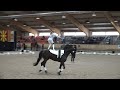 Auke Talpe Freestyle