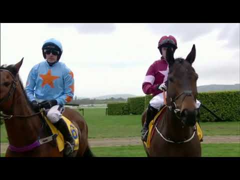 Un de sceaux! What a horse