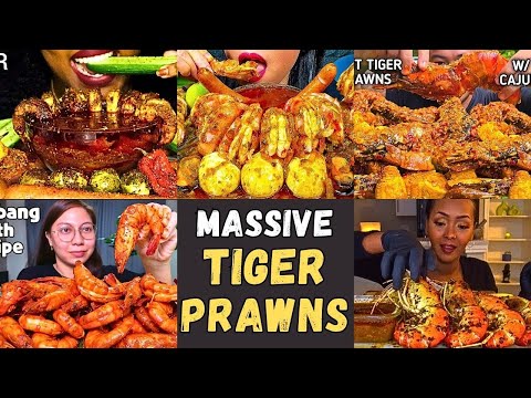 🤤🦐 MASSIVE TIGER PRAWNS ASMR MUKBANG | TOO BIG & JUICY TO IGNORE