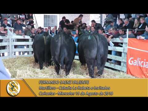 15-08-18 Nota Fernando Saenz Valiente - Martillero - Cabaña La Rubeta e Invitados - Cañuelas