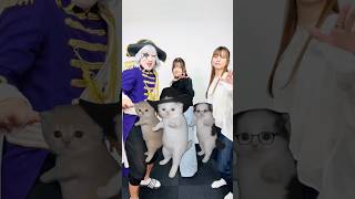 😺😸😼 #踊ってみた #ゴージャス動画 #ゴージャス
