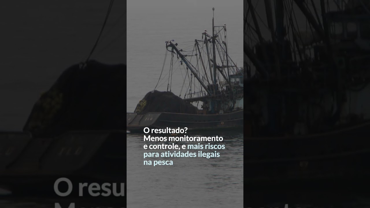 Novo #relatório expõe brecha para a pesca ilegal