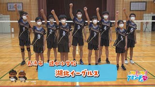 長浜市でバレーボールをするなら！「湖北イーグルス」速水小学校