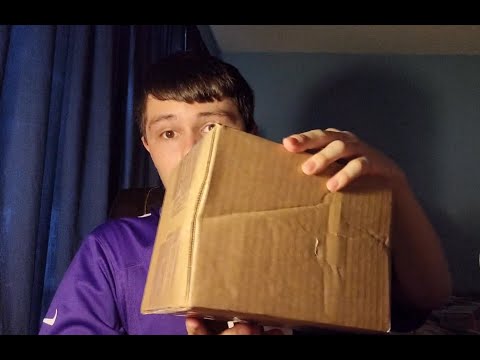 Buying a Rare Amiibo off of eBay