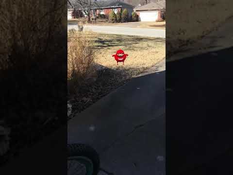 FIRST SIGHTING OF AN UGANDAN KNUCKLES *CRAZY*