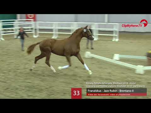 33 Hengst v. Franziskus - Jazz Rubin - Brentano II