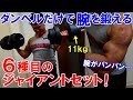 【筋トレ】ダンベルだけで腕のジャイアントセット!6種目で二頭筋と三頭筋がパンパンに張った時短トレーニング