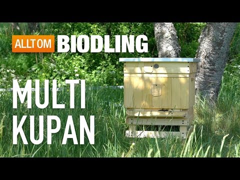 Multikupan - Bikupa - Biodling