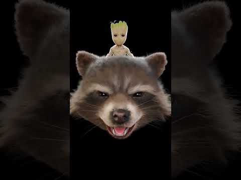 Rocket and Groot #guardiansofthegalaxy #3d #zbrush #marvel #blender