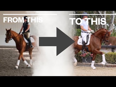 A DIFFERENT WAY TO GET YOUR HORSE ON THE BIT! (WAIT TILL YOU TRY THIS!)