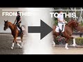 A DIFFERENT WAY TO GET YOUR HORSE ON THE BIT WAIT TILL YOU TRY THIS