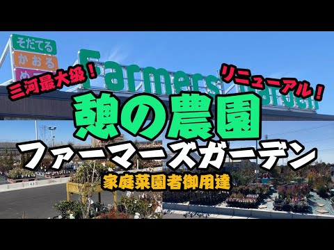 園芸 チャイニーズポドフィル、チャイニーズメイアップル