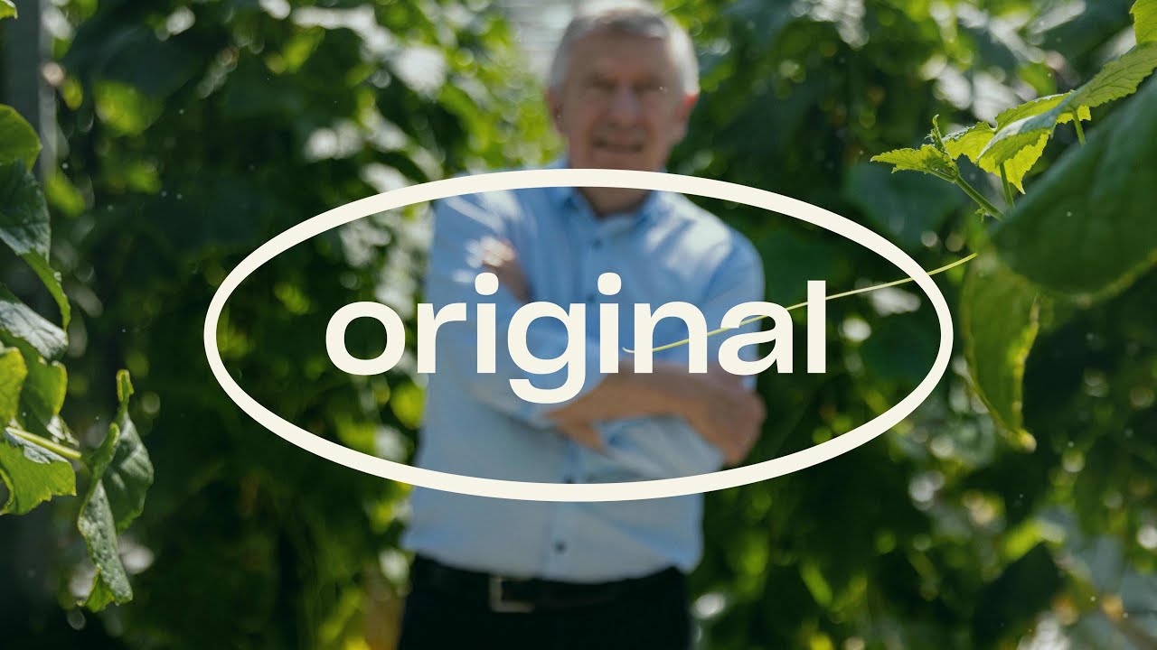 Video preview poster