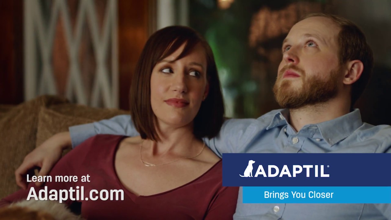 YouTube video preview