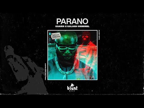 [FREE] Kaaris x Kalash Criminel Type Beat 2022 - "PARANO"