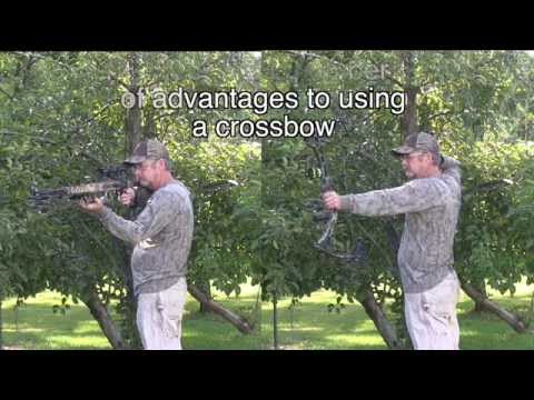 Myth: It takes less movement to line up a crossbow on a deer than a compound bow