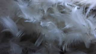 Hidden Door Festival, Leith Theatre, Edinburgh, May 2017