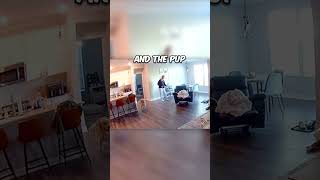 Download lagu Today marks the first day of forever π₯° mp3 Download lagu Today marks the first day of forever π₯° mp3