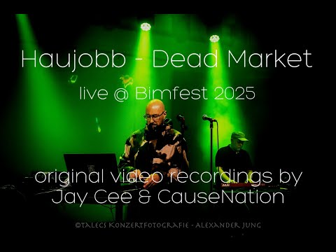 Haujobb - Dead Market Live at Bimfest 2025
