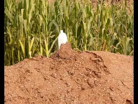 HCL + AL reaction. MUST SEE