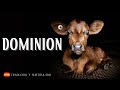 Dominion - Documental completo con audio en español