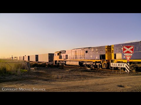 2PM5 Pacific National Container Freight Train (7/12/2023) - PoathTV Australian Railways
