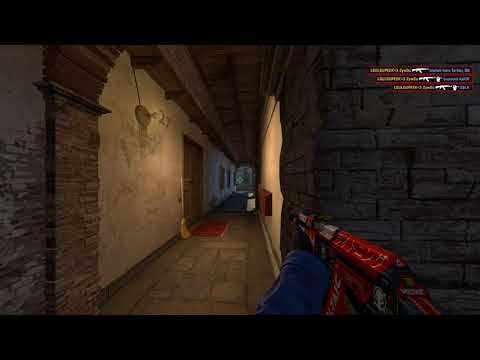 ZyWOo - first ACE after PGL Major 2021