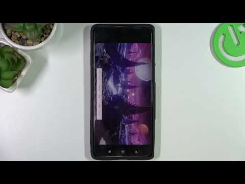 3DMark Wild Life Benchmark on Xiaomi Black Shark 5 Pro – Performance Checkup