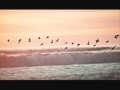 Peter Bradley Adams - From The Sky (Lyrics in Description)