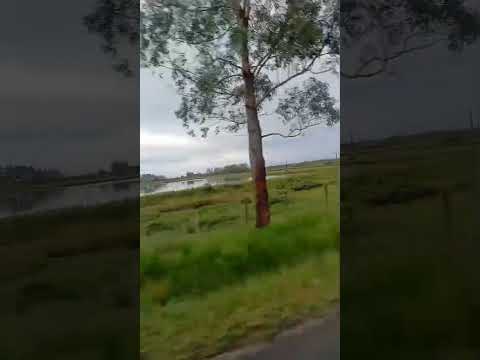 canavieiras Bahia