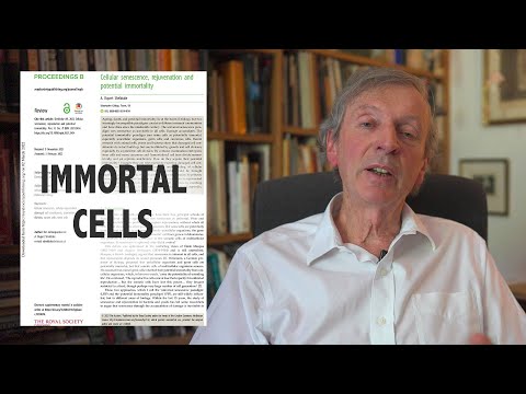 Cellular Immortality, a New Theory of Senescence and Rejuvenation