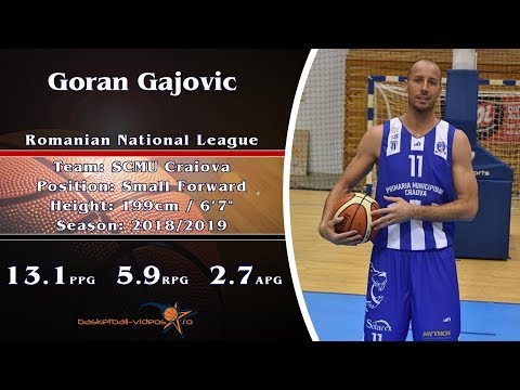Goran Gajovic 2018/2019 Highlights