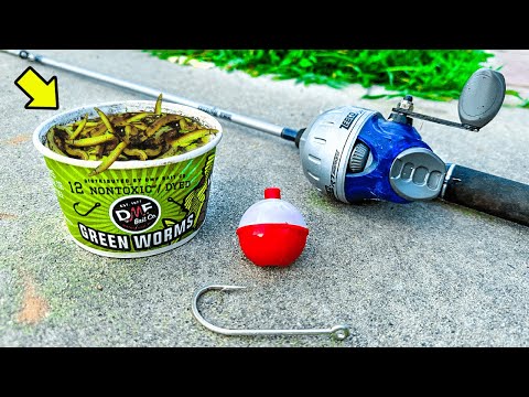 Fishing w/ GREEN Live Worms for WHATEVER Bites!
