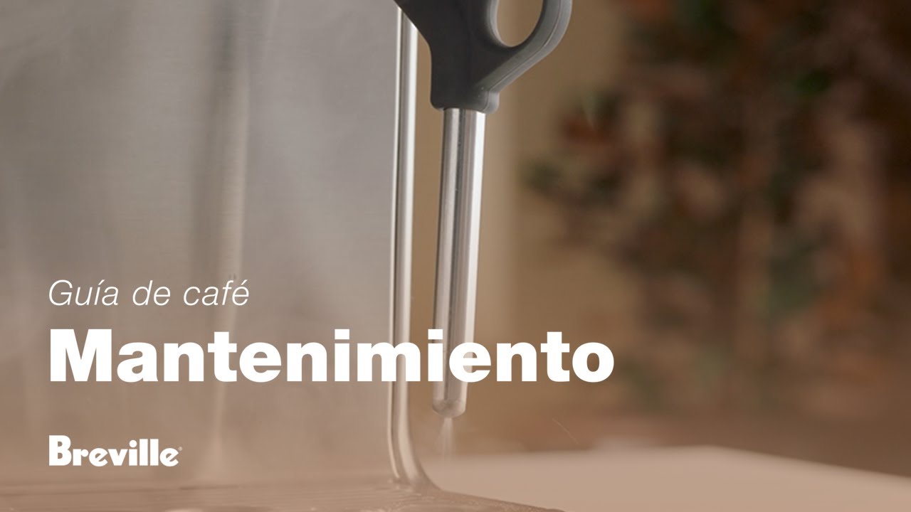 Cómo limpiar y desatascar la lanceta