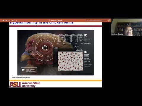 Disordered Hyperuniformity in Two-Dimensional Materials