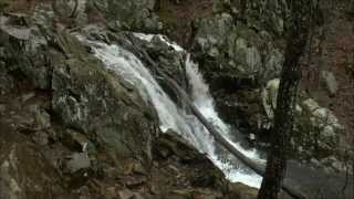 preview picture of video 'Rose River Falls, Shenandoah National Park, VA'
