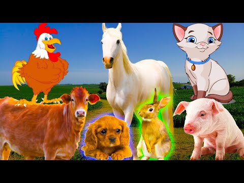 , title : 'Farm animal rations: dog, cat, cow, horse, duck, chicken - animal sounds'