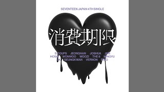 Download lagu SEVENTEEN (セブンティーン) - Shohikigen (消費期限) [ Audio] mp3