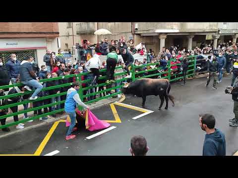 Miles de personas llenan las calles de Vitigudino para ver el I Toro de San Nicolás