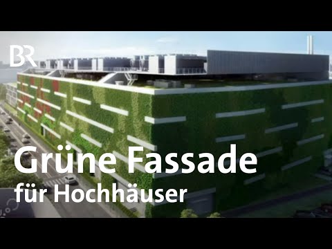 Grüne Fassaden statt Beton: Die Zukunft der Stadt könnte grün sein  | Gut zu wissen | BR