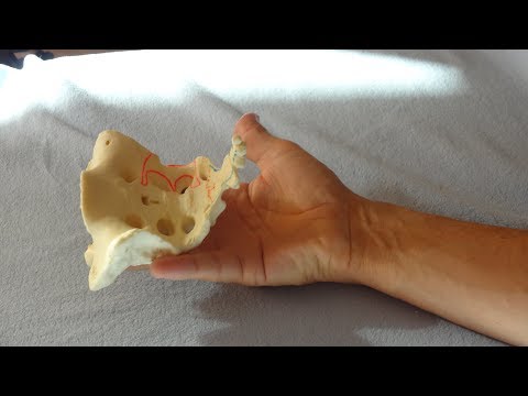 Übungen für die Schultergelenke von Patienten mit Video Flüssigrauch Gelenke kaufen